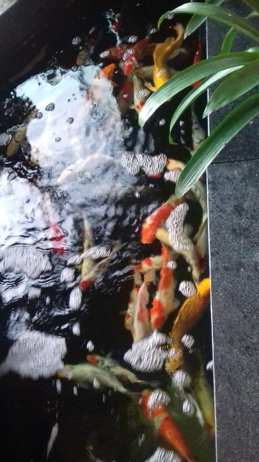 Khach San Hiep Yen Hotell Tuy Hoa Eksteriør bilde